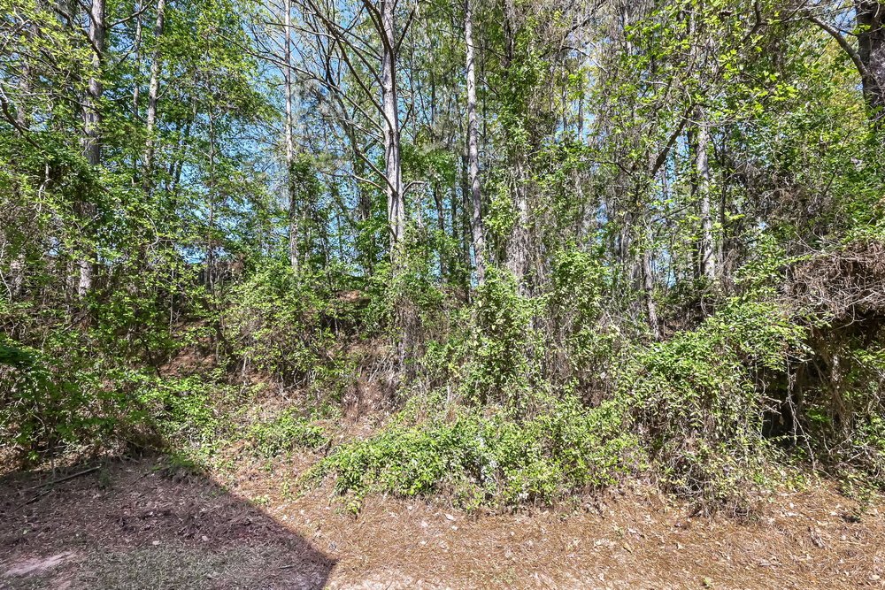 4-Bed Rental on 335 Shadetree Ln photo 17